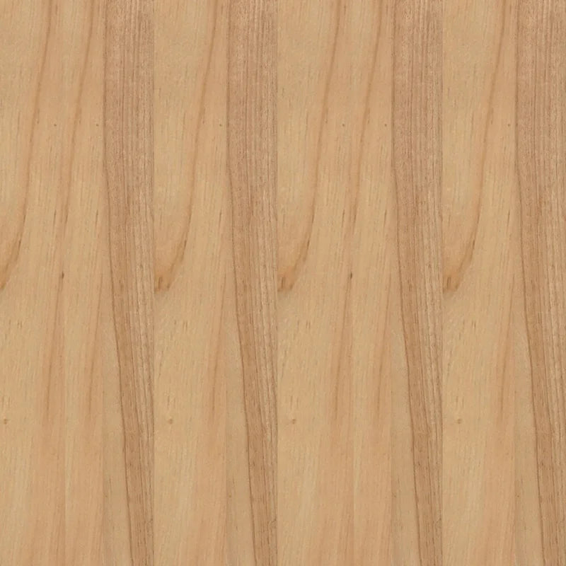 Sedia da pranzo in rattan con seduta imbottita e braccioli